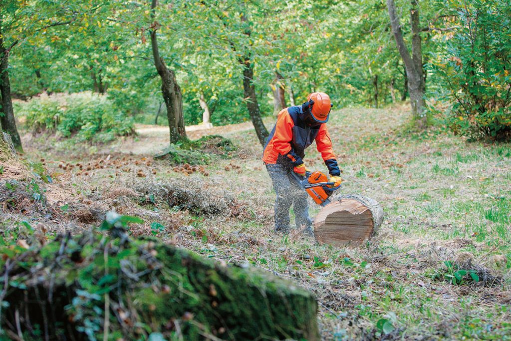 Oleo-Mac GSH 650 Extra CCE Chainsaw