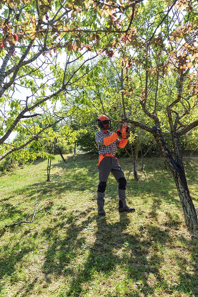 Oleo- Mac GSTH 240 Aborist Chainsaw