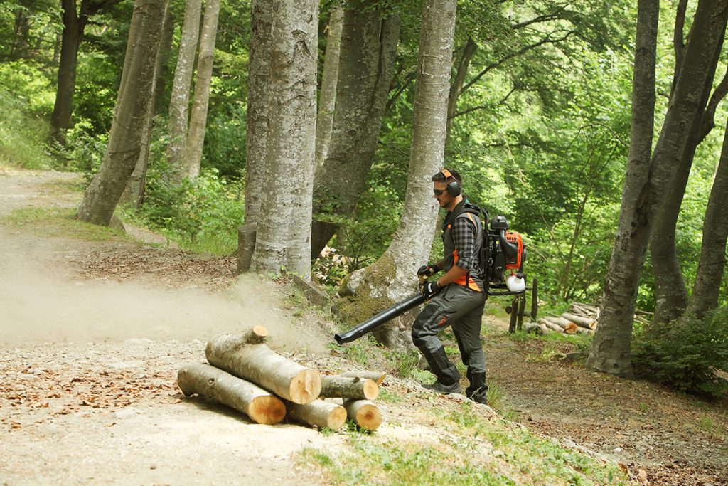 BV 901 Backpack Blower